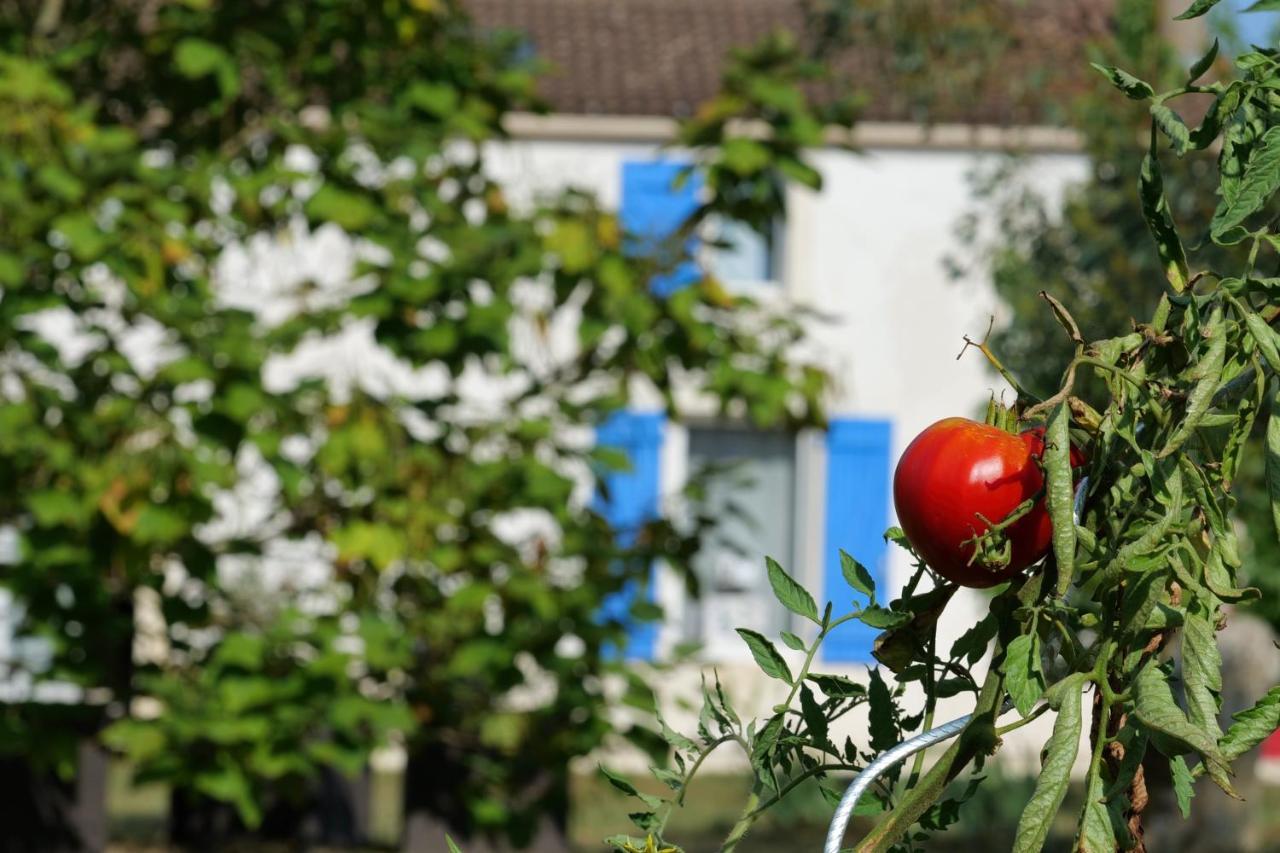 Moulin De Mauzac Bed & Breakfast Saint-Just-Luzac ภายนอก รูปภาพ